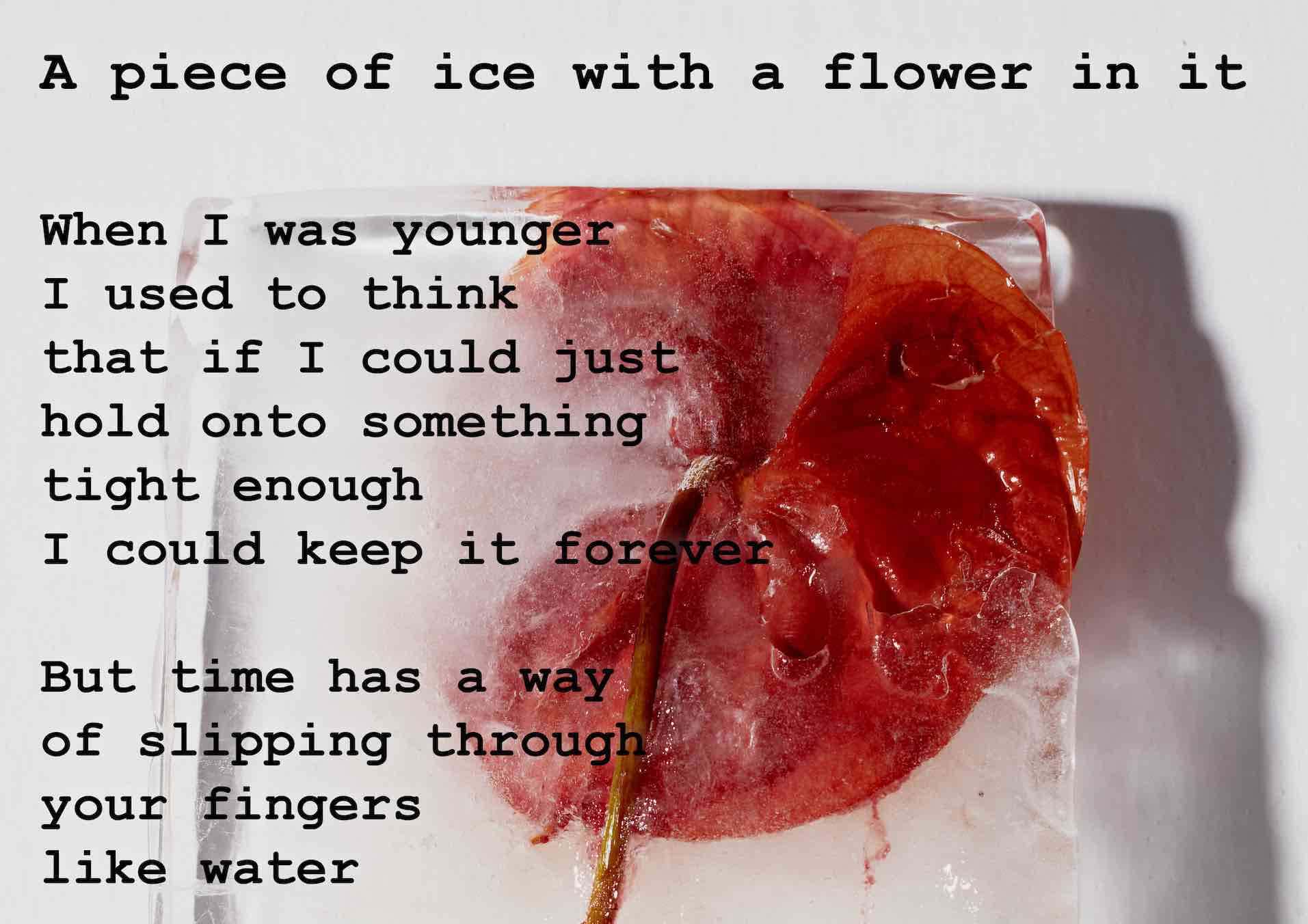 Cover Image for the project: Better Poems About Things